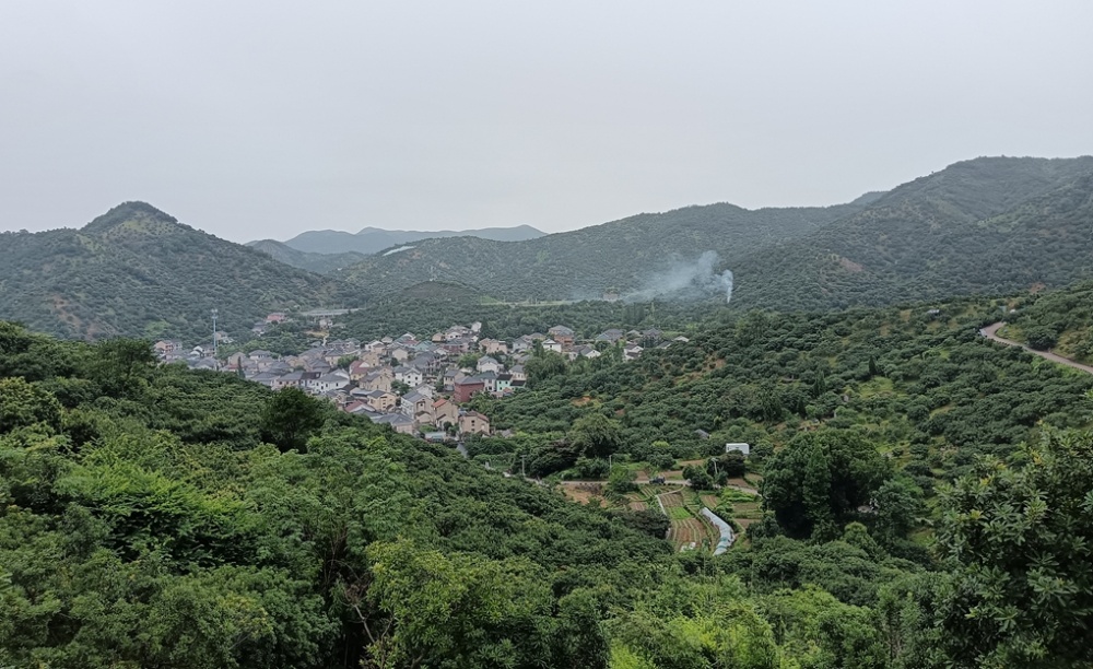 筍岙雨中行